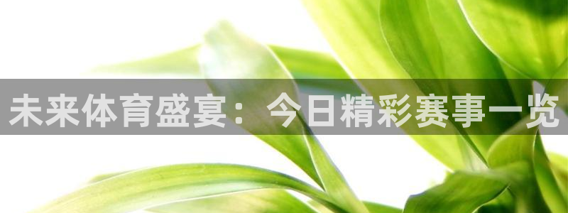 未来体育盛宴：今日精彩赛事一览