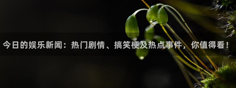 今日的娱乐新闻：热门剧情、搞笑梗及热点事件，你值得看！