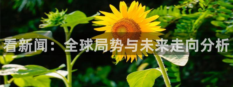 看新闻：全球局势与未来走向分析