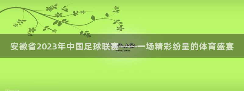 安徽省2023年中国足球联赛——一场精彩纷呈的体育盛宴