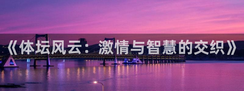 《体坛风云：激情与智慧的交织》